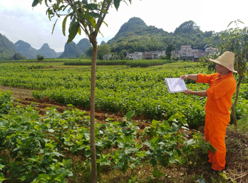 中国铝业股份有限公司平果教美铝矿矿山地质环境保护与土地复垦方案（部级评审）